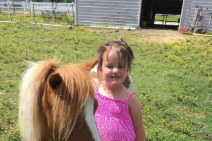 Tragic Loss: Miniature Horse Struck Down by Falling Tree in Thursday’s Storm