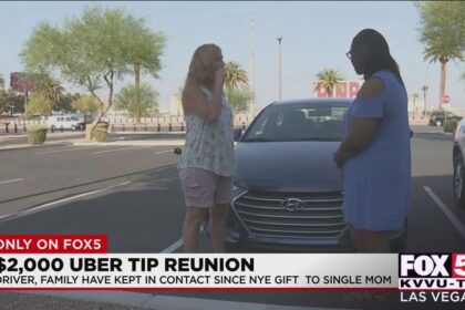 Las Vegas Uber Driver Receives Suspended Sentence Following Tragic Bystander Death