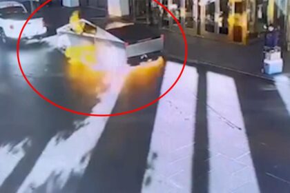 Las Vegas Attacks Reveal Striking Common Thread, Expert Says