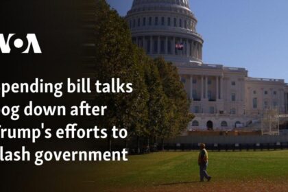 Jeffries urges Trump to jump into spending talks: ‘Get off the golf course’