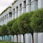 Supreme Court extends SNAP payment pause over Jackson’s objection 