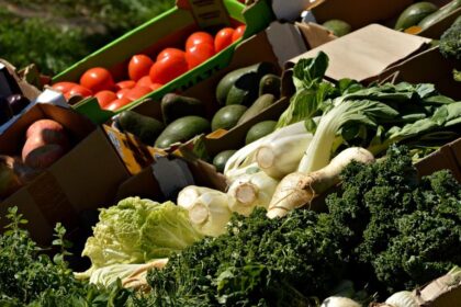 The Future of Food at Festivals: Vegan, Gluten-Free, and Beyond