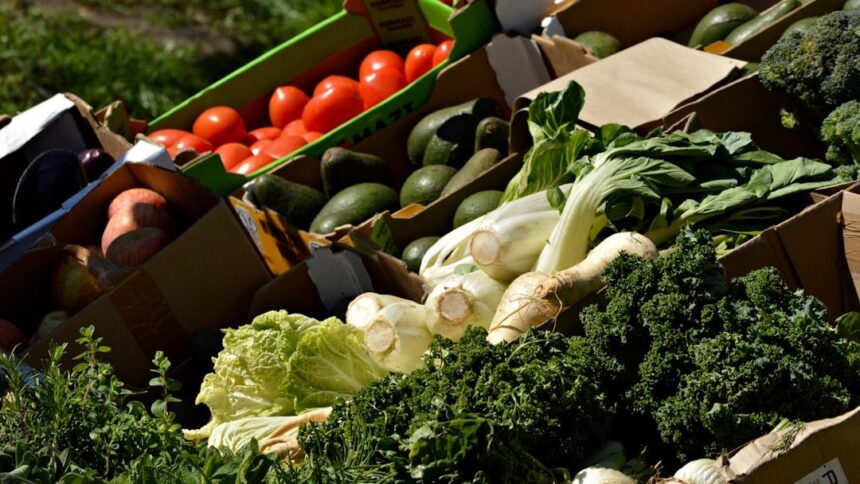 The Future of Food at Festivals: Vegan, Gluten-Free, and Beyond