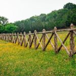 Texas adds to redistricting war deluge at Supreme Court 