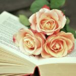 10 notable books of 2025: A posthumous memoir about Epstein, ‘Hunger Games’ and reliving 2024