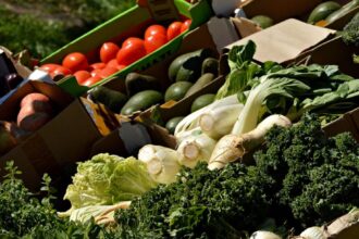 The Rise of Plant-Based Diets: Are They Really Healthier?