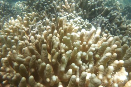 How Climate Change is Altering the World's Most Famous Travel Destinations