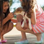 How Life Was Simpler: A Look Back at the Good Old Days