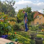 Gardening Tips That Will Keep Your Backyard Thriving All Year