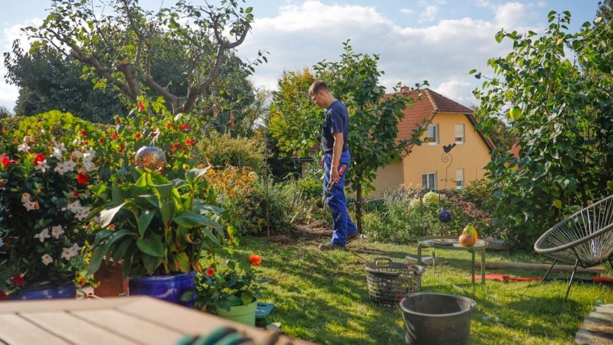 Gardening Tips That Will Keep Your Backyard Thriving All Year