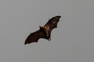 The Craziest Tour Stories from Rock Legends - Did These Really Happen?