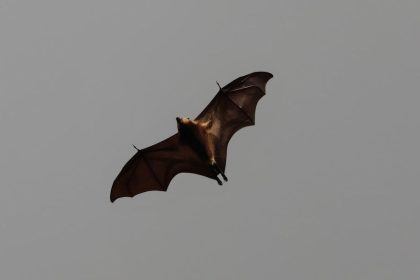 The Craziest Tour Stories from Rock Legends - Did These Really Happen?