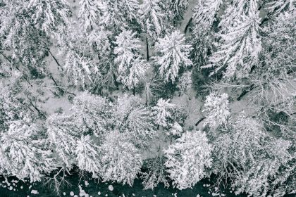 30 people dead from effects of winter storm as more freezing cold pummels US