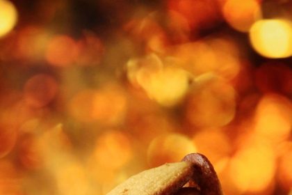 Paper or plastic? Recalled baby biscuits sold nationwide could have both