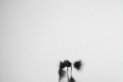 Photographic memories of love and grief
