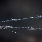 Border czar talks possible drawdown in Minneapolis