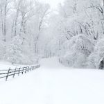 Dozens confirmed dead as extreme cold continues to grip much of U.S.