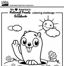 CARTOONS: A smart plan for Groundhog Day