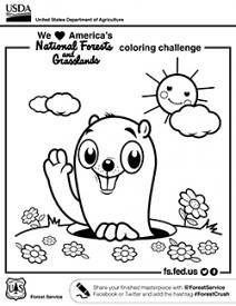 CARTOONS: A smart plan for Groundhog Day