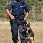 Las Vegas police K9 officer dies at age 10