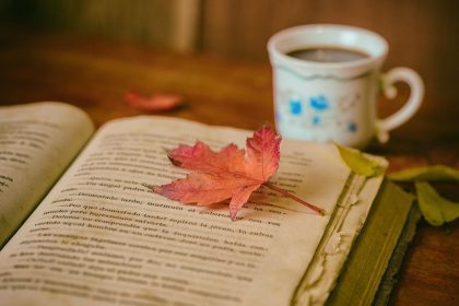 The Most Beautiful Last Lines in Literature - And Why They Stay With Us