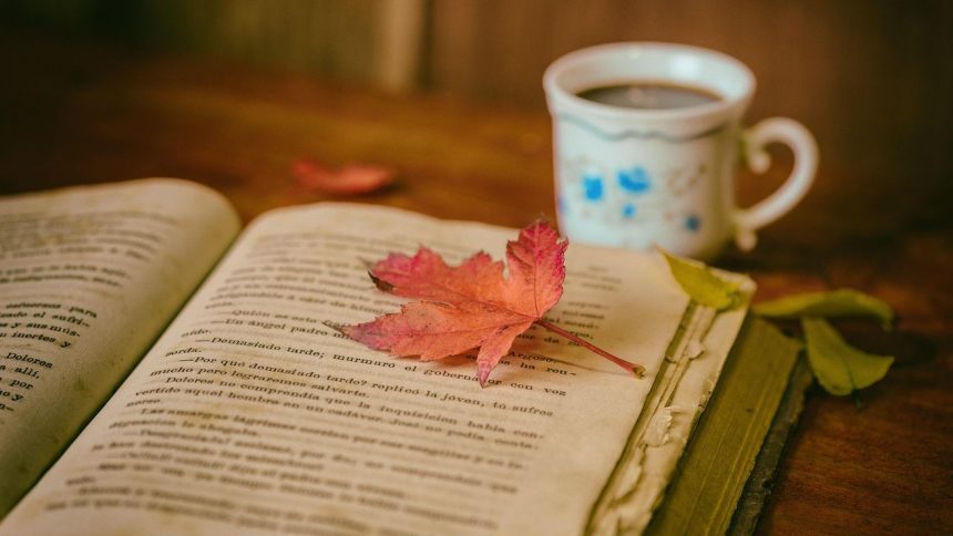 The Most Beautiful Last Lines in Literature - And Why They Stay With Us