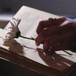 The Most Beautiful Sentences Ever Written in English Literature