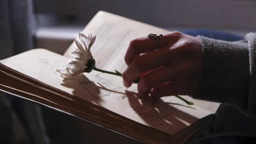 The Most Beautiful Sentences Ever Written in English Literature