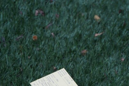 What Does Payroll Health Mean for Your Business?