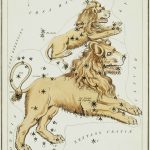 Leo Horoscope 12 Feb 2026