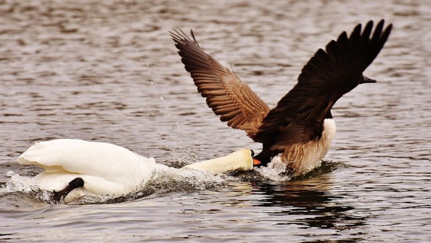 Common Phrases That Come From Shakespeare