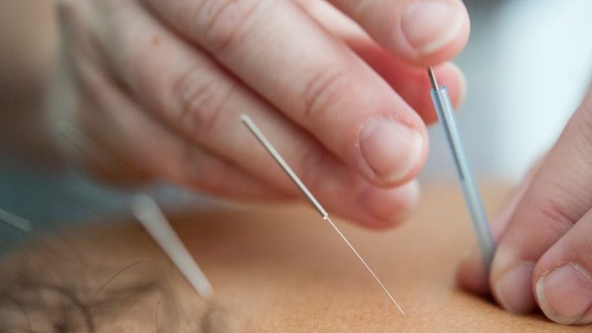 Ancient Medical Practices That Actually Worked