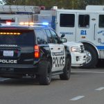 2 in custody after series of robberies, police pursuit