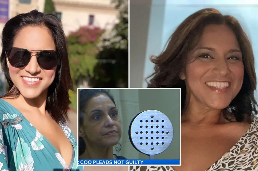 COO accused of stealing $132K in public cash and blowing it on plastic surgery, Disneyland enters plea