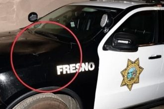 Group arrested after vandalizing Fresno patrol car, police say