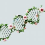 Scientists testing entirely new way to fight heart disease