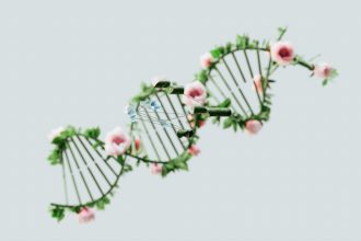 Scientists testing entirely new way to fight heart disease