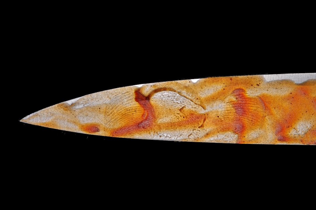 Man claimed self-defense after fatally stabbing homeless person, Las Vegas police say