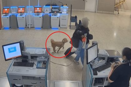 Woman who abandoned dog at Las Vegas airport didn't want to miss flight, police say