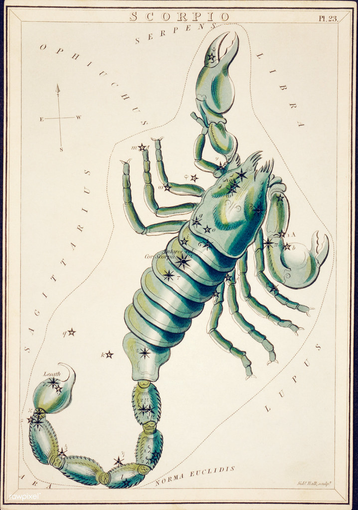 Scorpio Horoscope 25 Feb 2026