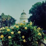 California's Congress members' plans for Trump's State of the Union address