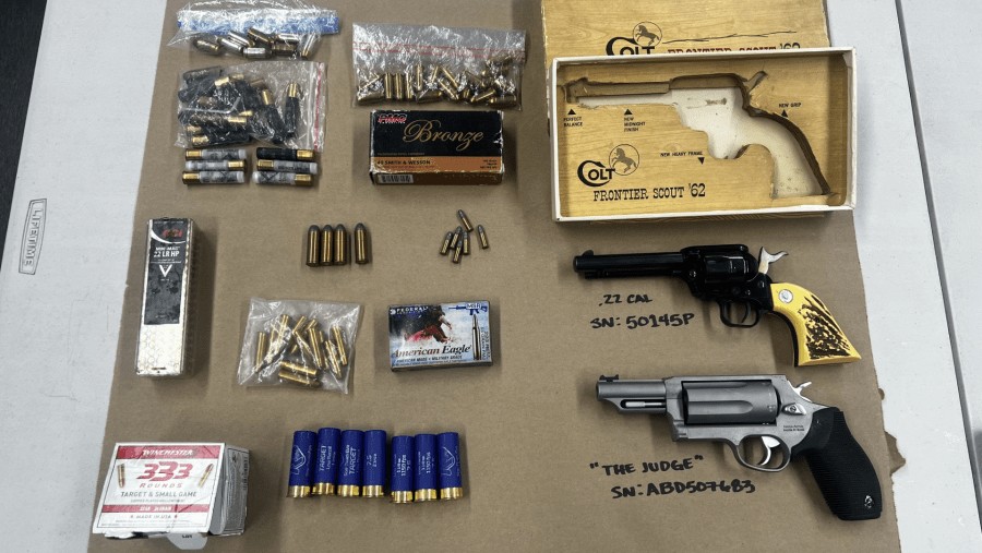 Teen arrested, man charged with child endangerment after guns found in Visalia home, police say