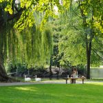 New park proposed for Skye Canyon area via public land transfer