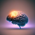 The Psychology of Memory: How We Remember