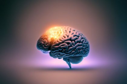 The Psychology of Memory: How We Remember