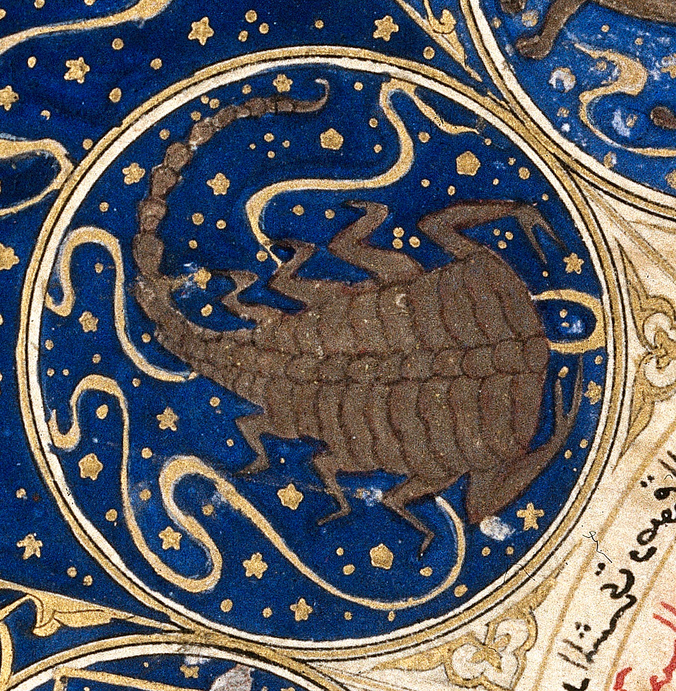 Scorpio Horoscope  2 Mar 2026