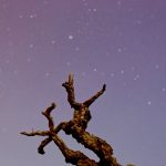 Scorpio Horoscope 5 Mar 2026