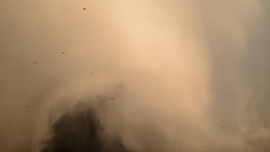 Dust and Danger: The Hidden Health Risks Lingering After Every Major High-Wind Warning