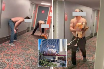 Bird brain! Tourist allegedly stole live flamingo from Las Vegas hotel, took selfies while ‘choking’ it
