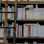 5 Books That Changed Completely During Translation